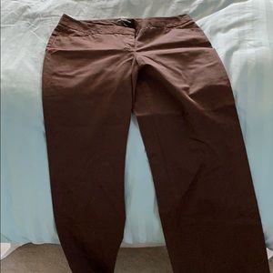 Brown express pants